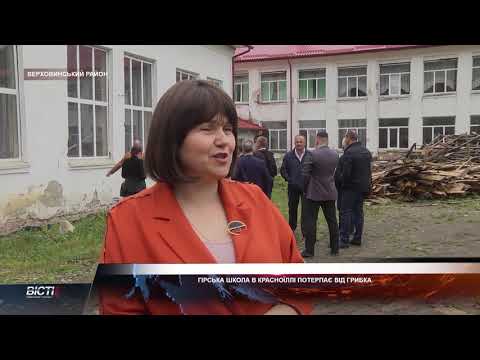 Пекельна школа: на Верховинщині через грибок діти змушені навчатись в коридорах