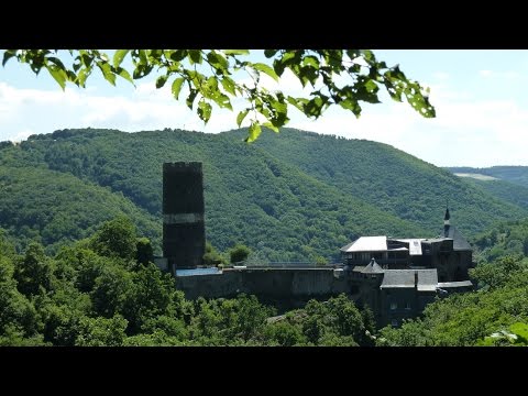 Der Moselsteig: 21. Etappe,  Moselkern - Löf