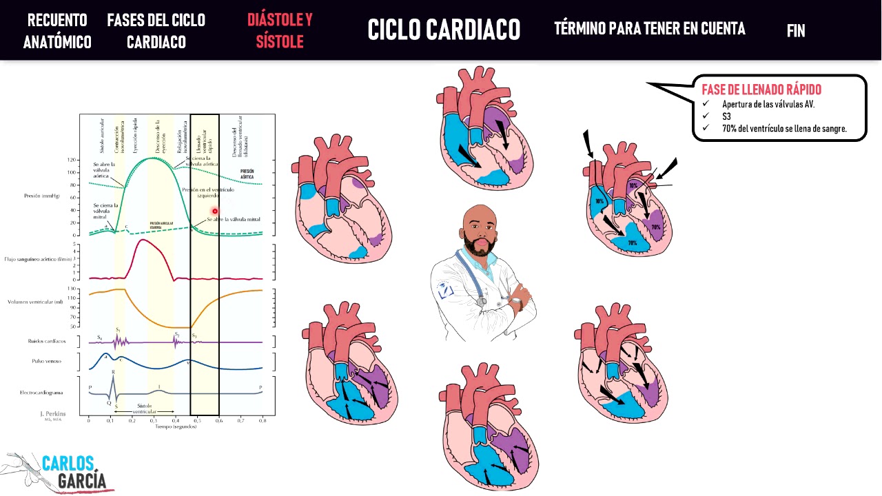 Fisiología — Ciclo Cardiaco (Llenado, Eyección, Contracción)