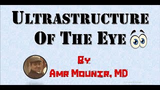 Ultrastructure of the eye