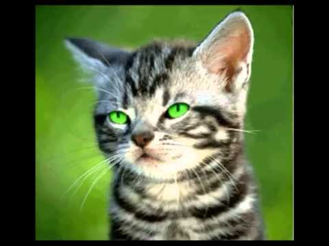 Nimm das Leben nicht zu ernst!