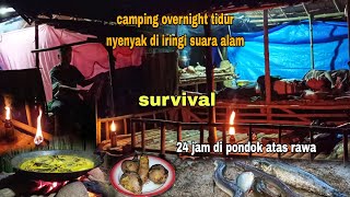 Download lagu CAMPING OVERNIGHT || HEAVY RAIN AND LIGHTNING, SLEEP IN A SHELTER OVER THE SWAMP mp3