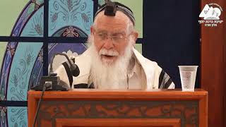 מזמור תהילה לדוד | הרב אליקים לבנון | הלכות תפילת שחרית | 21 (ישיבת ברכת יוסף - אלון מורה) - התמונה מוצגת ישירות מתוך אתר האינטרנט יוטיוב. זכויות היוצרים בתמונה שייכות ליוצרה. קישור קרדיט למקור התוכן נמצא בתוך דף הסרטון