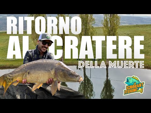 Return to the Crater of Death