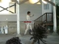 Barney Commercial The Fry Steps