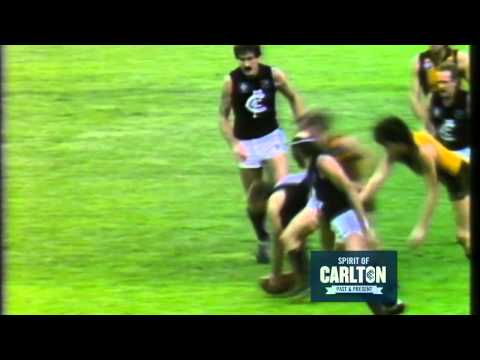 Rod Ashman 1980-81 - Carlton Football Club Past Player