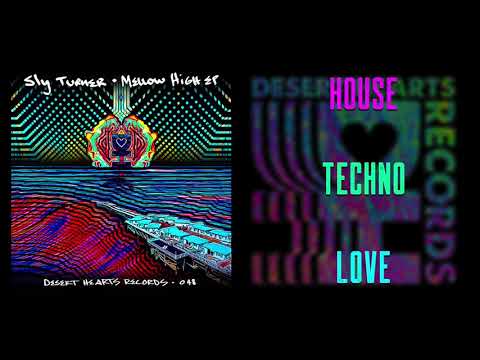 Sly Turner - The Groover (Original Mix)