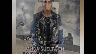 Daddy Yankee Vida en la Noche Letra