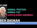 BEN BIKMAN d~ | ANIMAL PROTEIN  ANIMAL FAT  nothing better anywhere