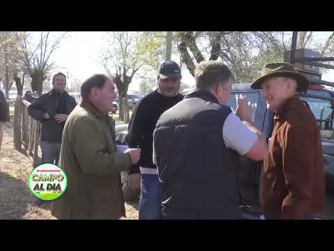 Juan Ganuzza - Martillero de Ganaderos de Elordi - Dinámica y buenos valores en Luan Toro