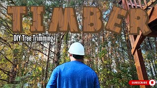 Trees vs. House: A Homeowner's Battle | Tree Trimming D.I.Y. 🪓