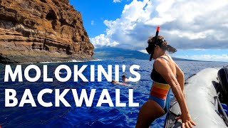 Molokini Crater Snorkeling Tour (plus the famous b