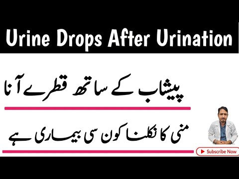 Peshab Ke Baad Qatray Ana Ka ilaj| Urine Drops After Urination| Manni kay ana ki wajoohat aur Ilaj
