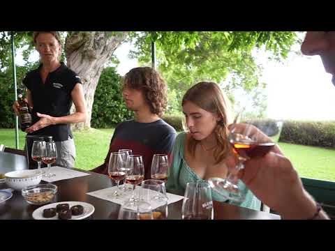 Private Tour & Tasting - Quinta das Malvas