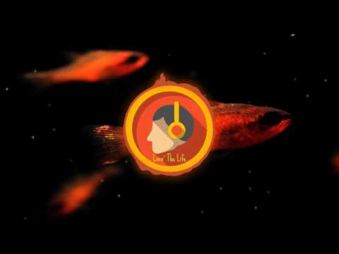 Ecraze - Blobfish (Original Mix)