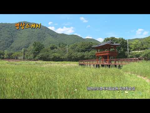 내연산보경사시립공원 자연학습장