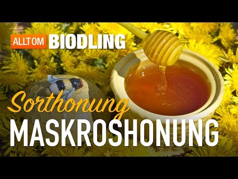 Maskroshonung - Sorthonung - Honung