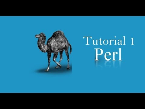 Perl Programming Language (Easy explanation) | Tutorial 1