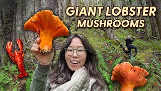 I Ate A Parasitic Fungus... And It Was Delicious! Forage & Cook Lobster Mushrooms