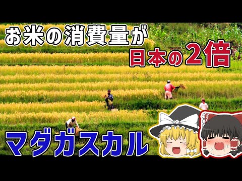レユニオンとロドリゲスの間に位置し、比較的平坦なモーリシャスは、植民者が最も興味を持った島です。