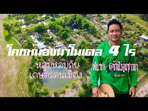 โคกหนองนา โมเดล 4 ไร่ หลุมหลบภัยเกษตรคนเมือง หนองแซง สระบุรี 