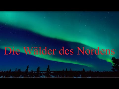 Die Wälder des Nordens - Doku