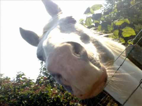 pomeriggio alternativo 0001