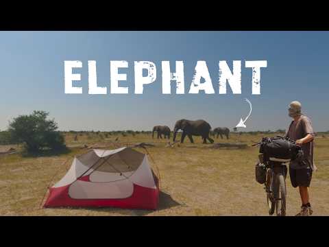 CAMPING with ELEPHANTS on a Bikepacking Journey Across Botswana 🇧🇼 | S1, EP6