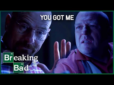 Hank & Walt's Game Of Cat & Mouse | COMPILATION | Breaking Bad