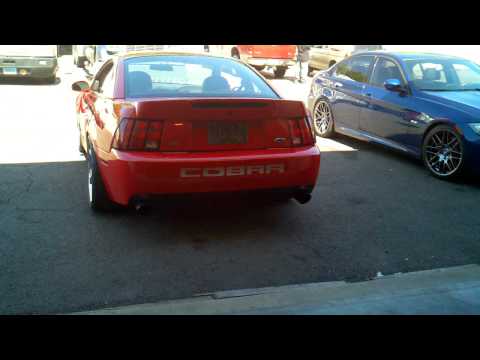 04 Terminator Cobra with Comp Cams first start