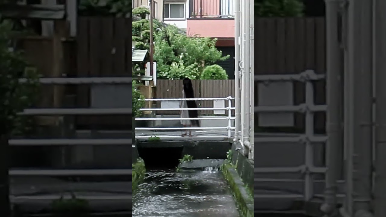 ひきこ 実写　#shorts