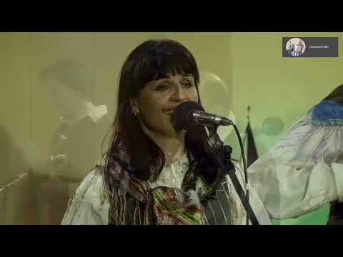 Die Alpenoberkrainer / Alpski kvintet ‼️23:57 Live Music ✅‼️