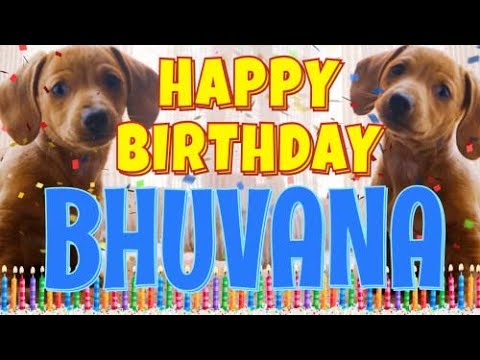 Happy Birthday Bhuvana! ( Funny Talking Dogs ) What Is Free On My Birthday