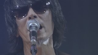 The Birthday – LIVE DVD / Bu-ray「LIVE AT NIPPON BUDOKAN 2015“GOLD TRASH”」ダイジェスト