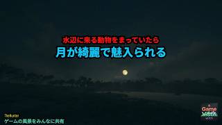 【癒し・オーストラリアの自然】水辺に来る動物を待っていたら月が綺麗で魅入られる【theHunter】【睡眠導入】【環境音】【風景動画】