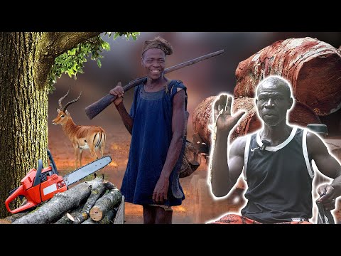 Hunter's Terrifying Forest Encounters: Witches, Dwarfs & Unknown Creatures!