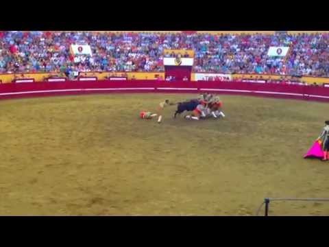 Pega by Turlock Suicide Squad in Terceira