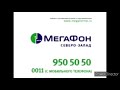 MegaFon Logo History MAXI UPDATED