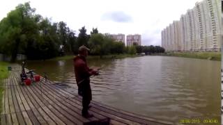 Рыбалка на левом берегу в химках