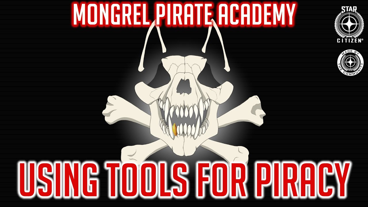 Using tools for Piracy in Star Citizen - Mongrel Pirate Academy - Episode 4 - YouTube