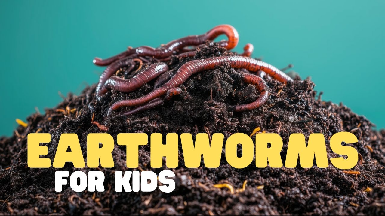 Earthworms for Kids | Learn all about these slimy animals