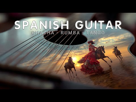 2 Hour Of Beautiful Cha Cha Cha - Rumba - Mambo Music | Very Relaxing Instrumental Dancing Music