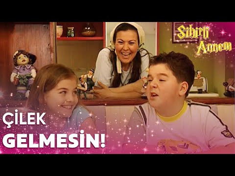 Cem ve Ceren Yalnız Kalmak İstiyor!  | Sihirli Annem