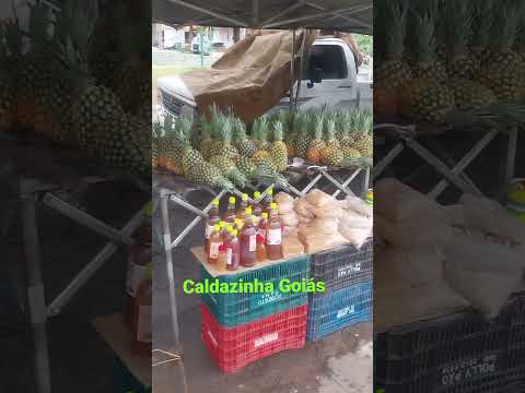 Caldazinha Goiás #jhonnyandrade