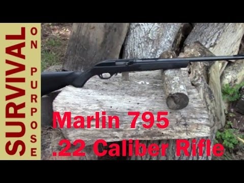 comment declarer une carabine 22 long rifle