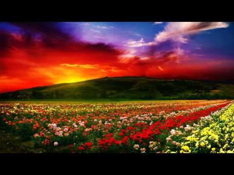 Tobu & Syndec vs. Miley Cyrus vs. Lil Jon - Wrecking Dusk (Tomicii Mashup)