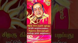 Download lagu சிறகு #கண்ணதாசன் #கவிதை mp3 Download lagu சிறகு #கண்ணதாசன் #கவிதை mp3