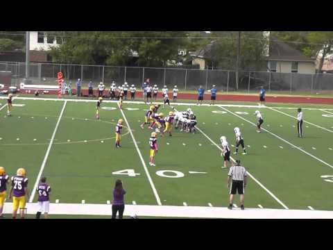 Tigers Desperados 101715 9