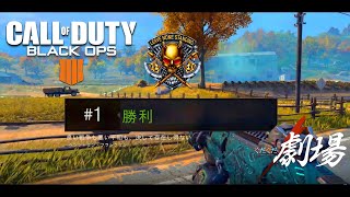 【#COD:BO4】ぐだぐだ実況　まじめ回  最強マンモス降臨　デュオなのに一人無双　ドンかつしちゃうぞ!!【Blackout】