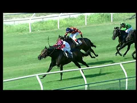 Napoli Galoppo 22/07/2022 - 1ª corsa